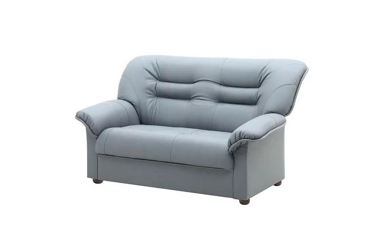 Д2Р Двухместный диван-кровать (1400х880х880 мм)